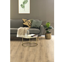 Wohnzimmer mit Sofa, Kissen, Tisch, Pflanze und Laminatboden.