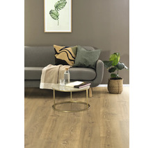 Wohnzimmer mit Sofa, Couchtisch und Zimmerpflanze.