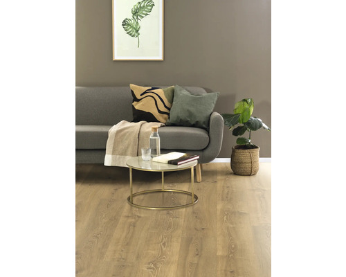 Wohnzimmer mit Sofa, Couchtisch und Zimmerpflanze.