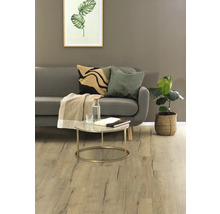 Wohnzimmer mit Sofa, Kissen, Couchtisch und Zimmerpflanze auf Holzboden