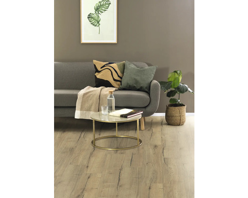 Wohnzimmer mit Sofa, Kissen, Couchtisch und Zimmerpflanze auf Holzboden