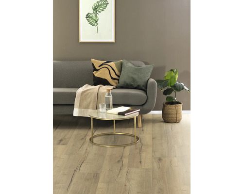 Wohnzimmer mit grauem Sofa, Kissen, Couchtisch und Zimmerpflanze auf Holzboden