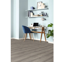 Helles Arbeitszimmer mit Schreibtisch, Stuhl und Regalen