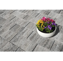 Pflastersteine aus Beton mit Blumen in einem Topf