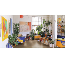 Wohnzimmer mit Möbeln, Pflanzen und Kunstwerken auf Holzboden