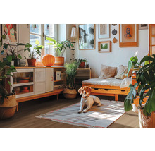 Wohnzimmer mit Tagesbett, Kommode, Zimmerpflanzen und Hund auf einem Teppich