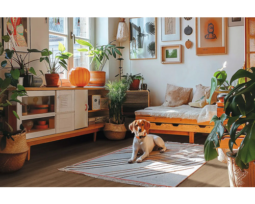 Wohnzimmer mit Tagesbett, Kommode, Zimmerpflanzen und Hund auf einem Teppich