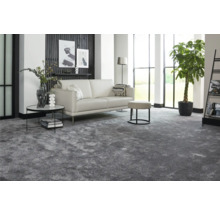 Wohnzimmer mit grauem Teppich, Sofa, Tisch und Zimmerpflanze