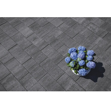Graue Pflastersteine im Fischgrätmuster mit blauen Hortensien im Topf.