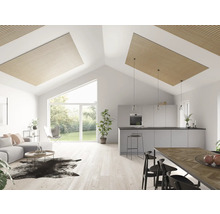 Heller Wohnraum mit offener Küche, Deckenpaneelen aus Holz und großen Fenstern