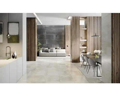 Bodenfliese Globus Platinum 60x60cm rektifiziert