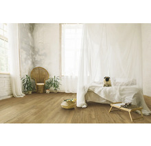 Heller Raum mit Holzboden, Bett mit Moskitonetz und Mops