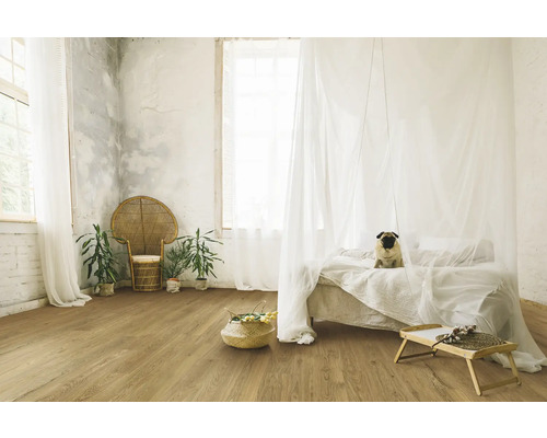 Heller Raum mit Holzboden, Bett mit Moskitonetz und Mops