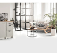 Wohnzimmer mit Sofa, Couchtisch, Zimmerpflanze und Küchenzeile