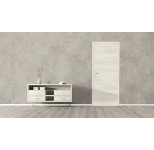 Szene mit einer Innentür und einem Sideboard im Wohnraum