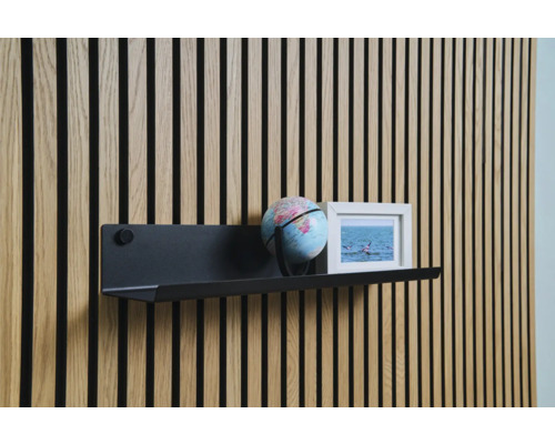 Wandpaneel mit Regal, Globus und Bild