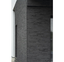 Fassade mit dunklen Verblendern