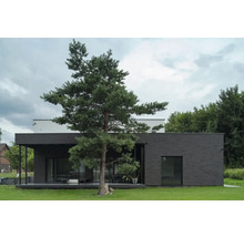 Modernes Haus mit dunkler Fassade und Baum im Vorgarten.