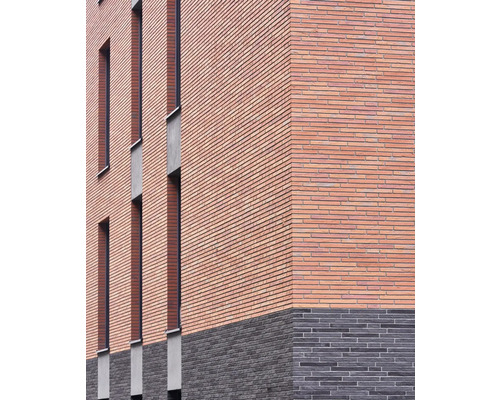 Elabrick Verblender Gdansk 37 x 4 cm