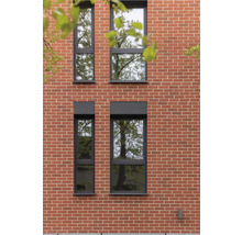 Fassade mit vier Fenstern mit dunklem Rahmen