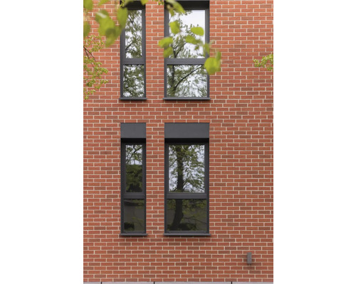 Fassade mit vier Fenstern mit dunklem Rahmen