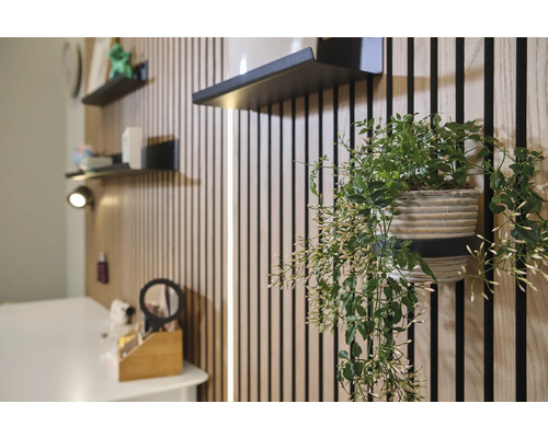 Zimmeransicht mit Holzpaneelen, schwarzen Regalen und hängender Grünpflanze im Topf