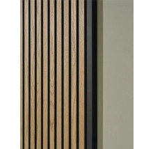 Nahaufnahme einer Holzpaneelwand mit Lattenstruktur und Schallschutz