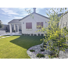 Ein Garten mit Rasenfläche, Kiesbeet und einem Haus mit roten Fensterläden.