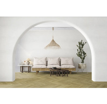 Wohnzimmer mit Sofa, Tisch und Kaktus unter einem Bogen