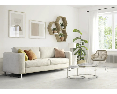 Wohnzimmer mit Sofa, Couchtisch und Wandregal in sechseckiger Form.