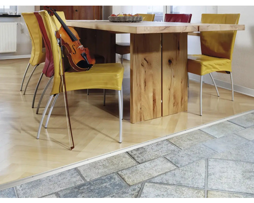 Szene mit Esstisch, Stühlen, Geige und Bodenprofil