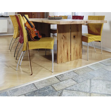 Szene mit Esstisch, Stühlen, Geige und Bodenprofil