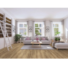 Helles Wohnzimmer mit Bücherregal, Leiter, Sofa und Holzboden