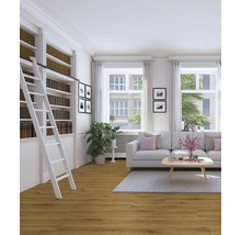 Wohnzimmer mit Bücherregal, Leiter, Sofa und Holzboden