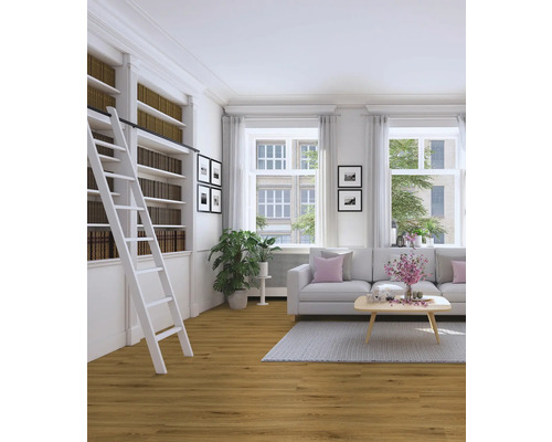Wohnzimmer mit Bücherregal, Leiter, Sofa und Holzboden