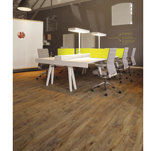 Büro mit Schreibtischen, Bürostühlen, Lampen und Holzboden