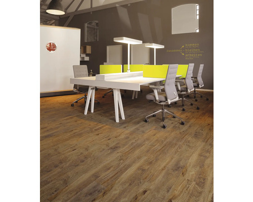 Büro mit Schreibtischen, Bürostühlen, Lampen und Holzboden
