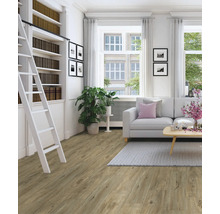 Wohnzimmer mit Bücherregal, Leiter, Sofa und Holzboden