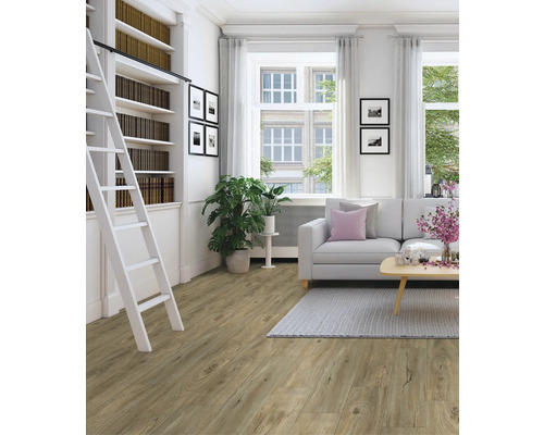 Wohnzimmer mit Bücherregal, Leiter, Sofa und Holzboden