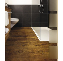 Badezimmer mit Dusche, Toilette und Holzfußboden