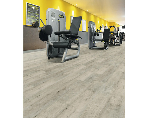 Fitnessstudio mit Trainingsgeräten und hellem Holzboden