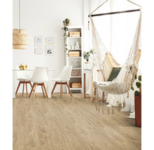 Heller Wohnraum mit Holzboden, Esstischgruppe und Hängesessel