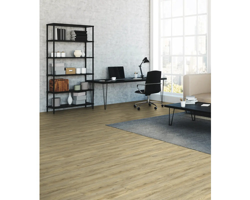 Wohnzimmer mit Regalen, Schreibtisch, Bürostuhl und Holzboden