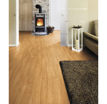 Wohnzimmer mit Holzboden, Kaminofen und Teppich