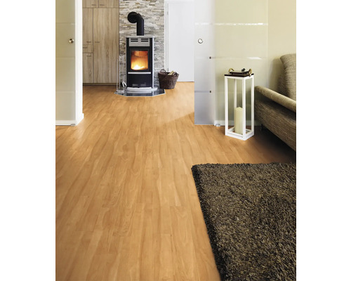 Wohnzimmer mit Holzboden, Kaminofen und Teppich