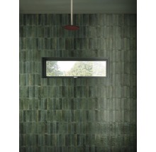 Badezimmer mit grünen Wandfliesen, Fenster und Regendusche