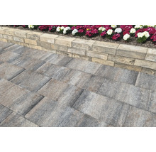 Gepflasterter Weg mit Mauer und Blumenbeet