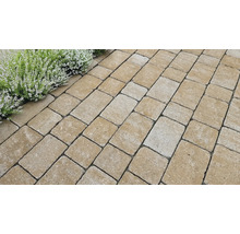 Verlegung von Pflastersteinen im Außenbereich mit Randbepflanzung