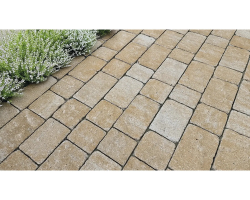 Verlegung von Pflastersteinen im Außenbereich mit Randbepflanzung