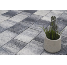 Verbundpflastersteine mit Pflanze im Topf